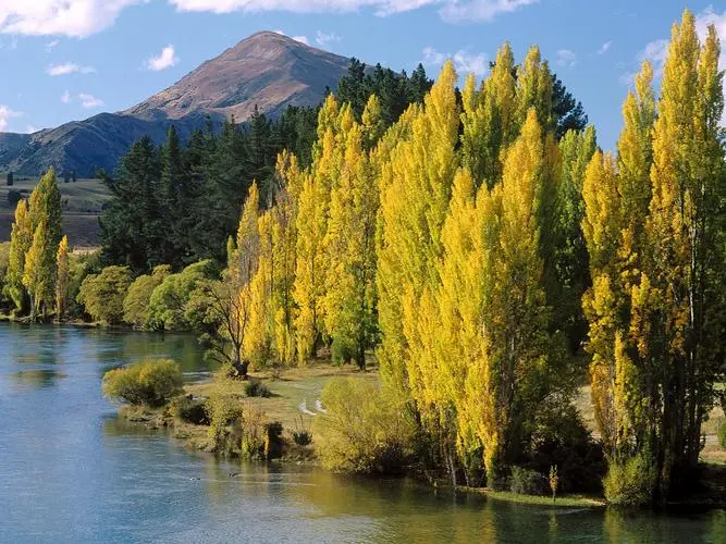 创意高效可靠性